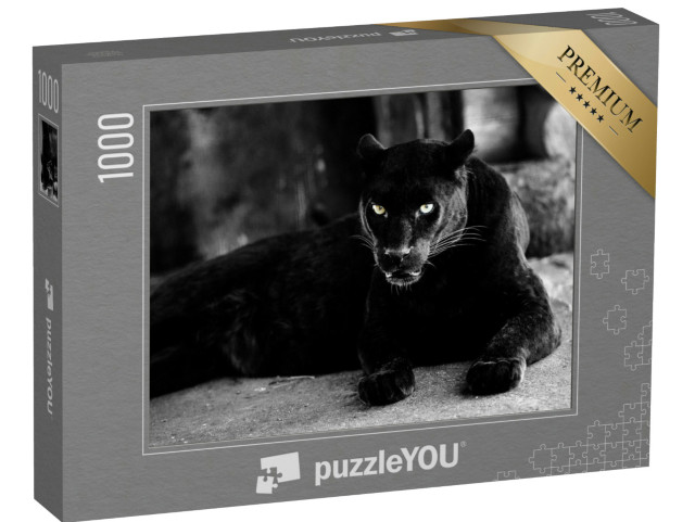 Puzzel 1000 stukjes „Prachtige zwarte panter“