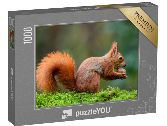 Puzzel 1000 stukjes „Een rode eekhoorn eet een noot op een mosstengel“
