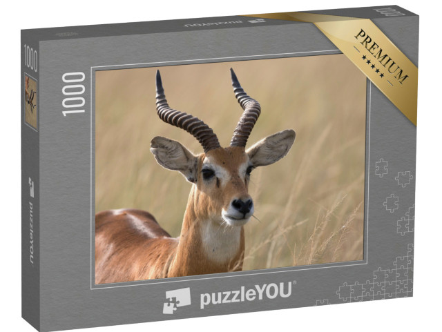 Puzzel 1000 stukjes „Oegandese kob-antilope, Afrika“