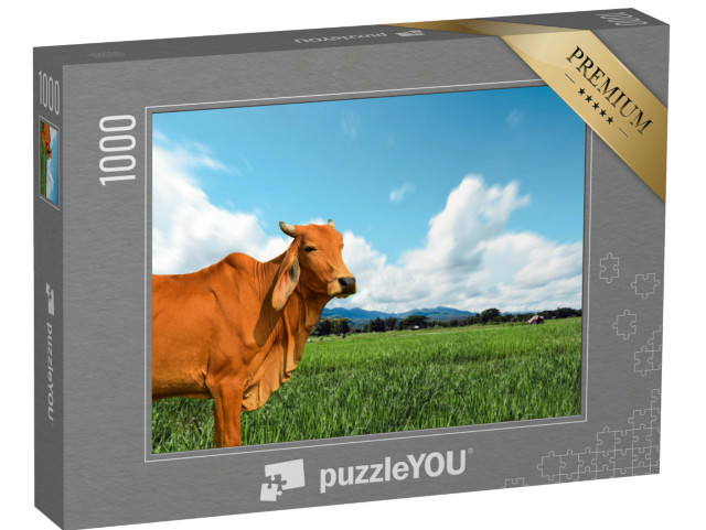 Puzzel 1000 stukjes „Koe op een weelderige groene weide“