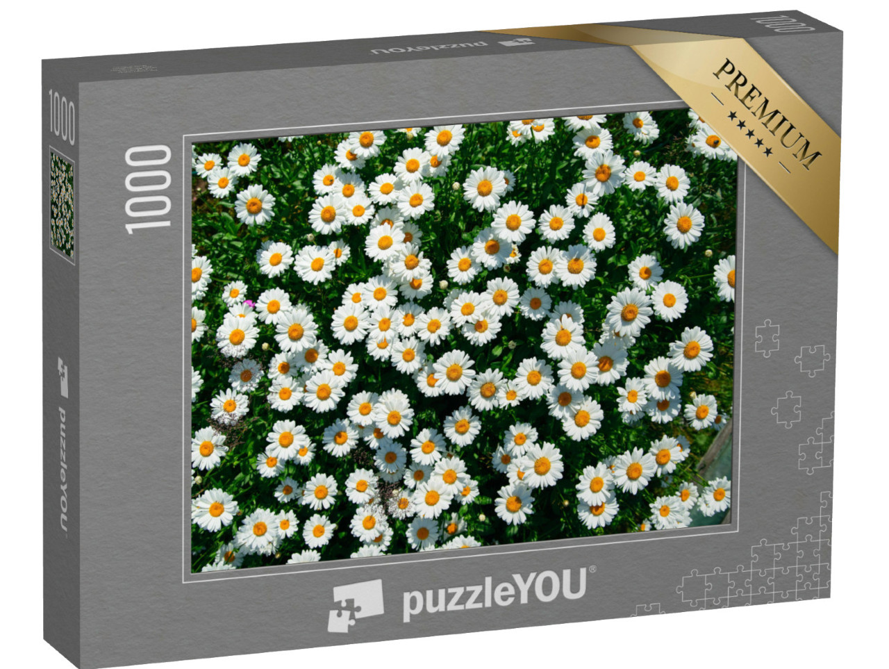 Puzzel 1000 stukjes „Madeliefjes in het veld“