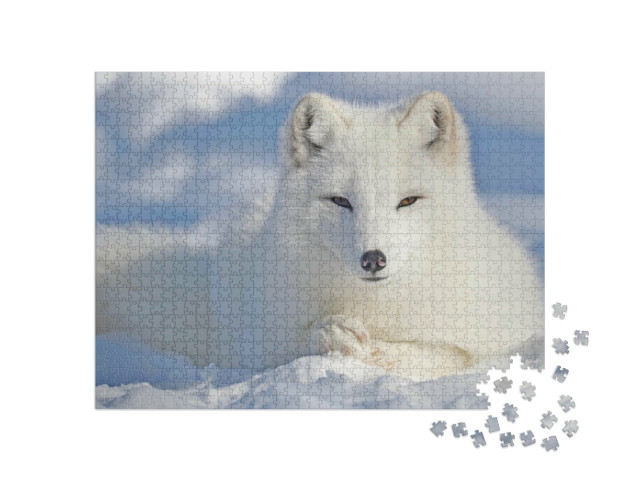 Puzzel 1000 stukjes „Mooie poolvos in de sneeuw“