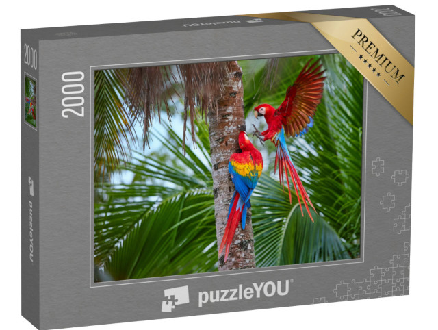 Puzzel 2000 stukjes „Amazonepapegaaien op een palmboom“