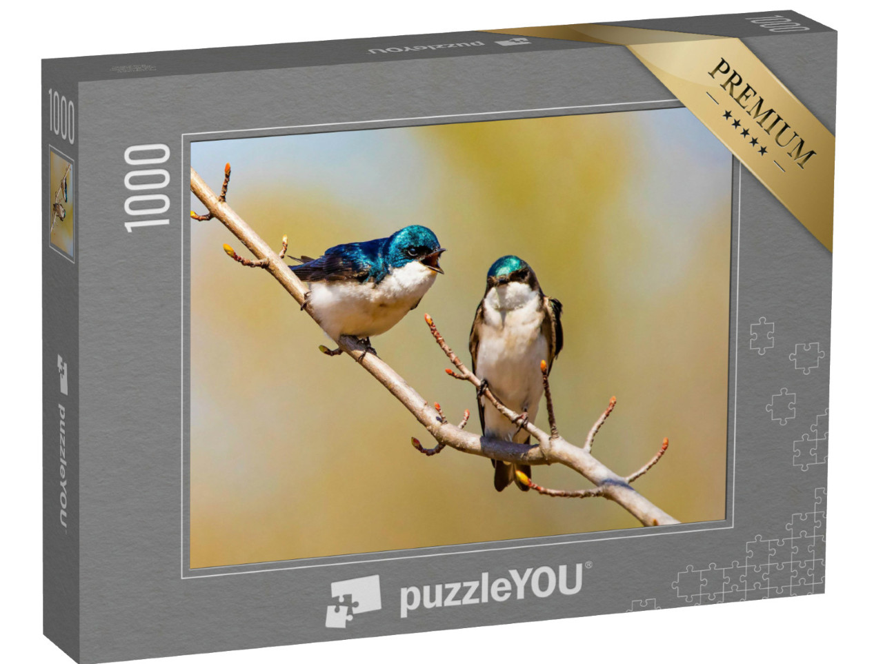 Puzzel 1000 stukjes „Glinsterende blauwe boomzwaluwen op een tak“