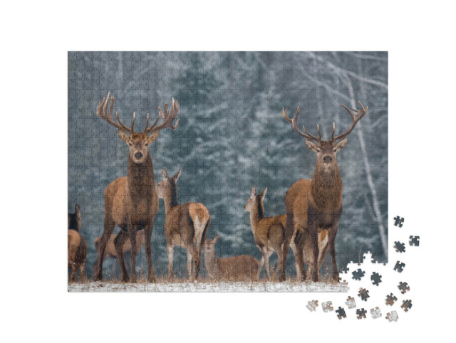Puzzel 1000 stukjes „Een kudde herten in het winterse bos“