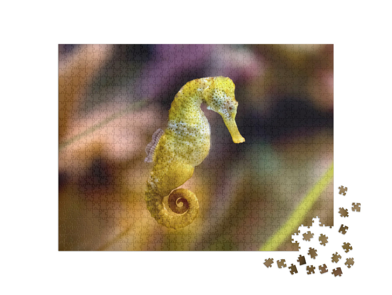Puzzel 1000 stukjes „Geel langsnuitzeepaardje“