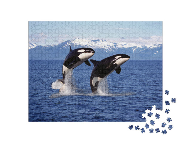 Puzzel 1000 stukjes „Twee orka's voor een berglandschap“