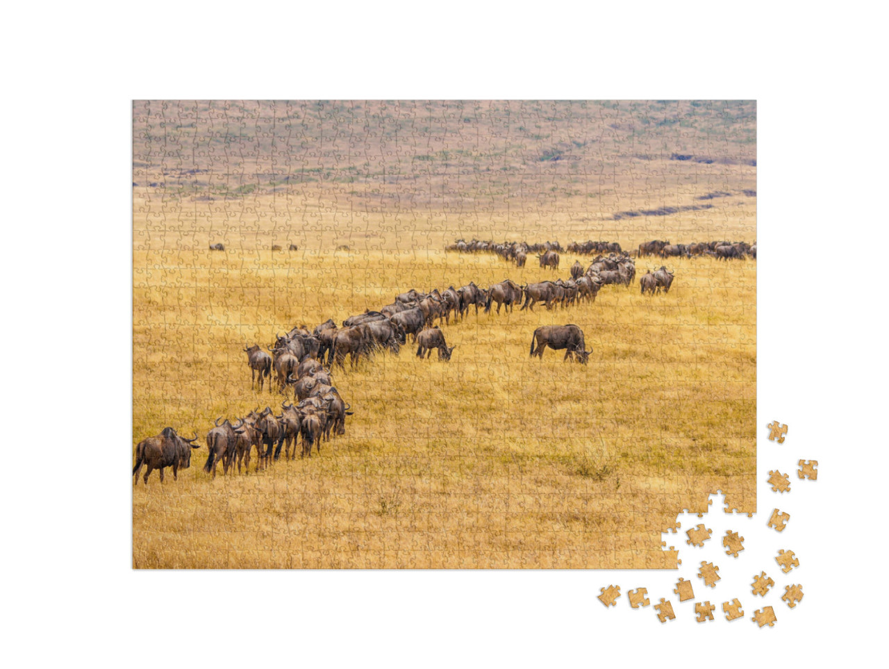 Puzzel 1000 stukjes „Migratie van gnoes op de Afrikaanse savanne“