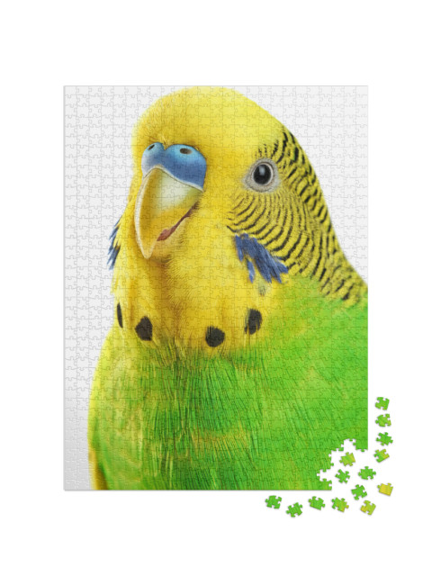Puzzel 1000 stukjes „Portret van een geelgroene grasparkiet“