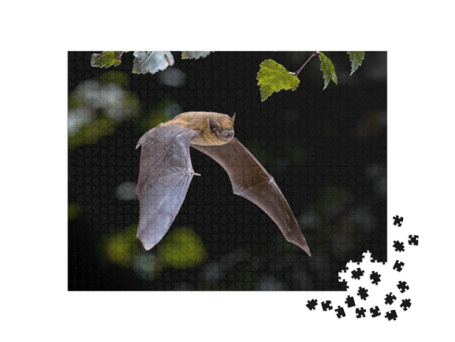 Puzzel 1000 stukjes „Pipistrelle vleermuis vliegend door het bos“