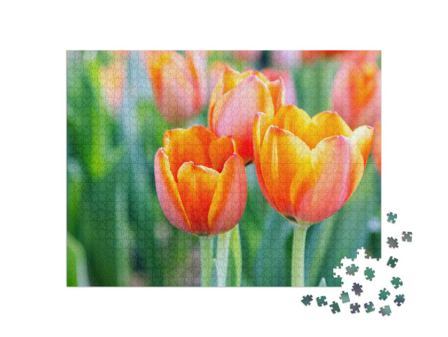 Puzzel 1000 stukjes „Heldere tulpen“