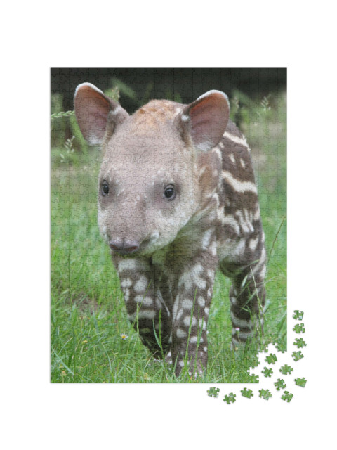 Puzzel 1000 stukjes „Tapir in het groene gras“