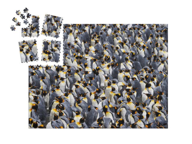SMART SORTED® | Puzzel 1000 stukjes „Koningspinguïn kolonie“