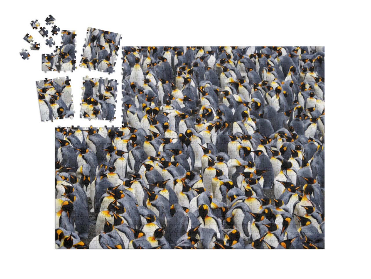 SMART SORTED® | Puzzel 1000 stukjes „Koningspinguïn kolonie“