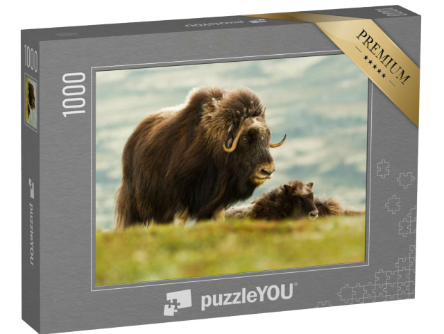 Puzzel 1000 stukjes „Muskusos met jong in Noorwegen“