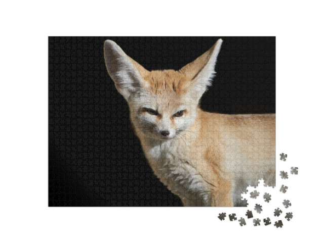 Puzzel 1000 stukjes „Close-up van een Fennec vos“
