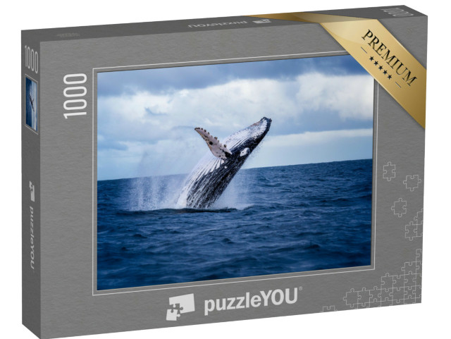 Puzzel 1000 stukjes „Bultrugwalvis springt uit het water, Australië“