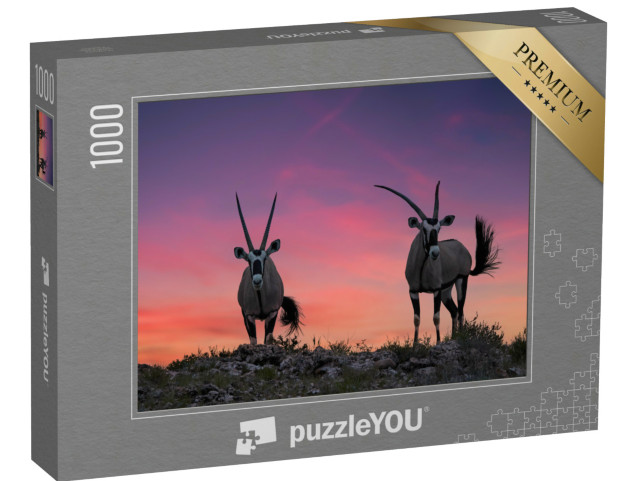 Puzzel 1000 stukjes „Twee grote antilopen met spectaculaire horens, Kalahari“