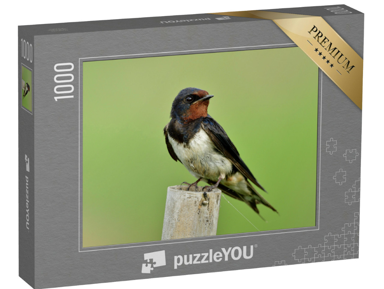 Puzzel 1000 stukjes „Boerenzwaluw, ook bekend als gierzwaluw“