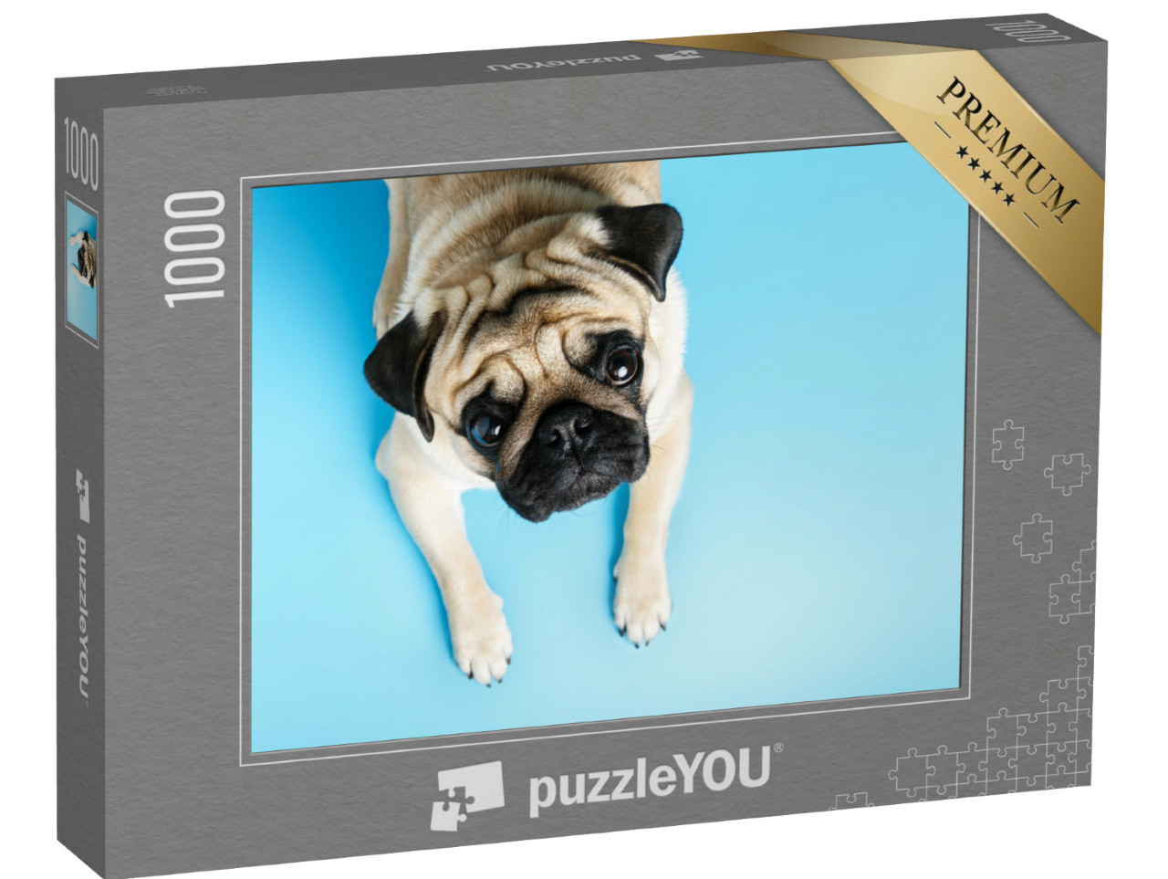 Puzzel 1000 stukjes „Beige mopshond met een vertrouwenwekkende blik“