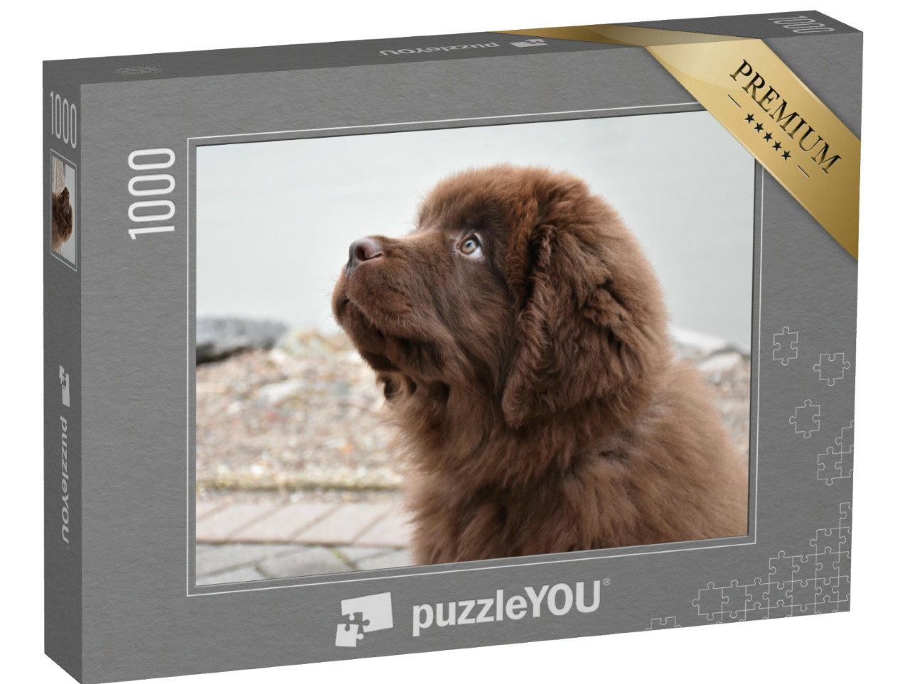 Puzzel 1000 stukjes „Bruine Newfoundland puppy met een vertrouwenwekkende blik“