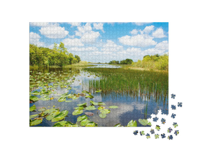 Puzzel 1000 stukjes „Nationaal park Everglades in Florida, VS“