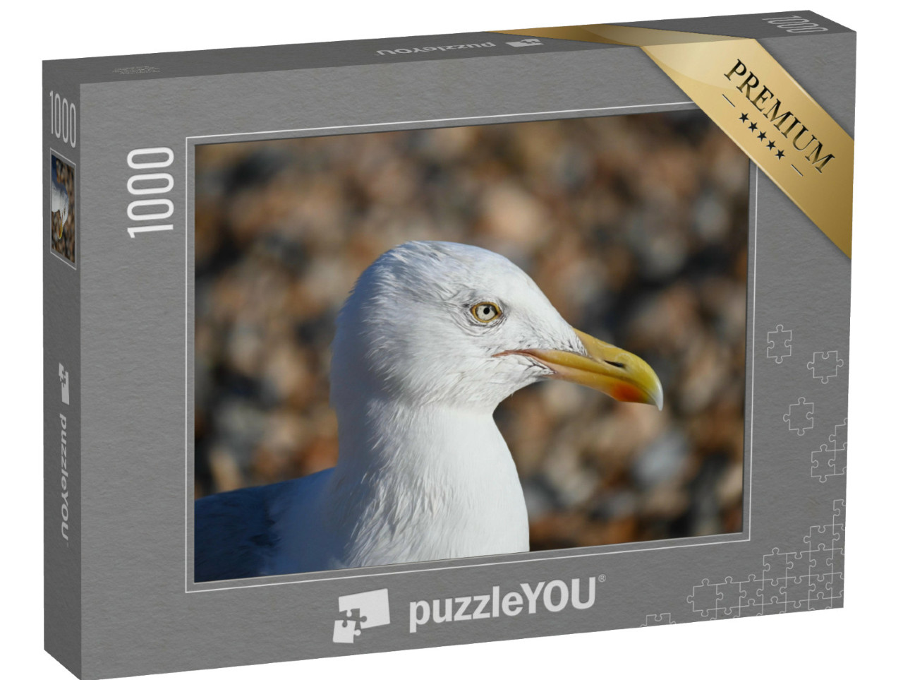 Puzzel 1000 stukjes „Close-up van een zeemeeuw“