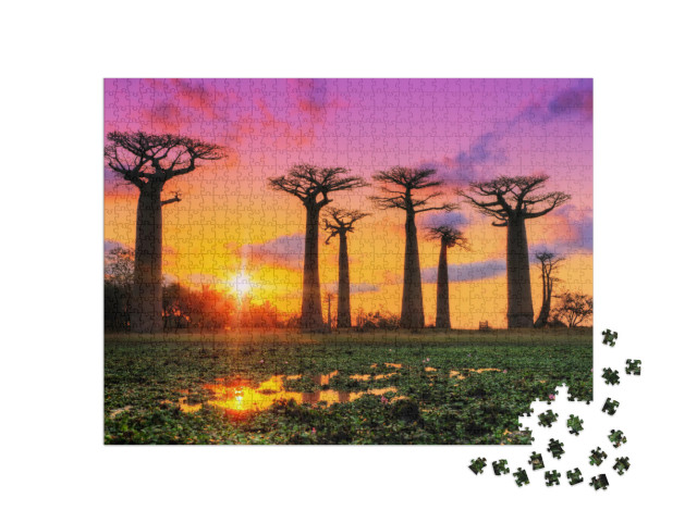 Puzzel 1000 stukjes „Kleurenspel bij zonsondergang op de laan van baobabs, Madagaskar“