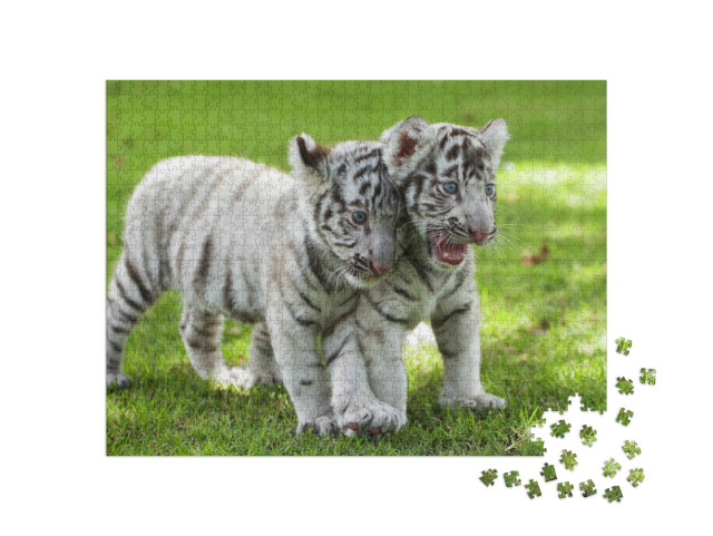 Puzzel 1000 stukjes „Twee witte tieger baby's“