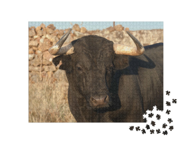 Puzzel 1000 stukjes „Een Spaanse vechtstier“