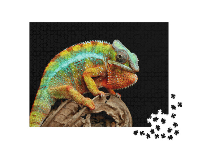 Puzzel 1000 stukjes „Kameleonpanter op droge bladeren“