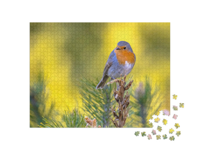 Puzzel 1000 stukjes „Roodborstje op een groene tak“