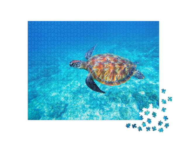 Puzzel 1000 stukjes „Groene zeeschildpad in ondiep zeewater“