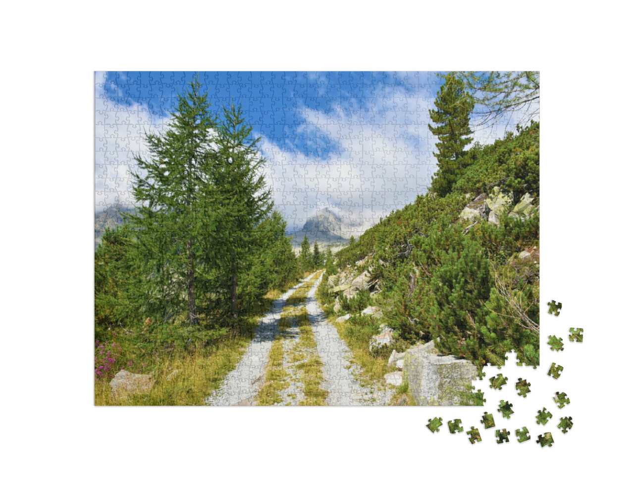Puzzel 1000 stukjes „Grindweg“