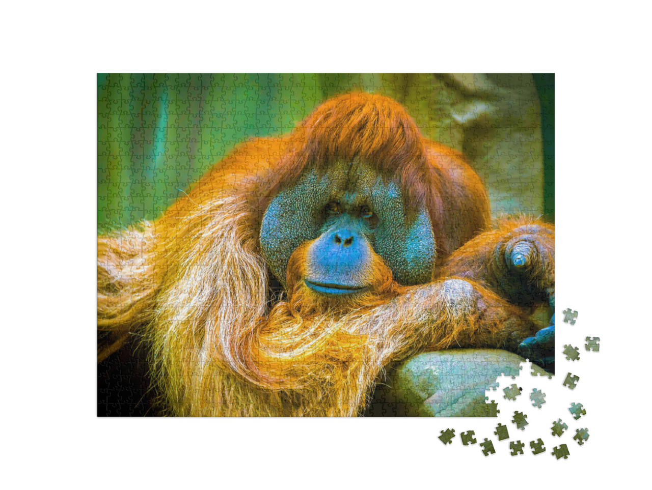 Puzzel 1000 stukjes „De orang-oetan is in een mijmering“