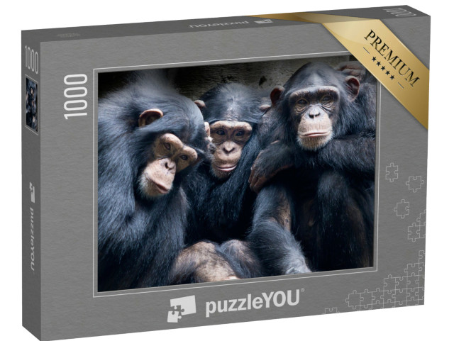 Puzzel 1000 stukjes „Bonobo's en chimpansees in Afrika“