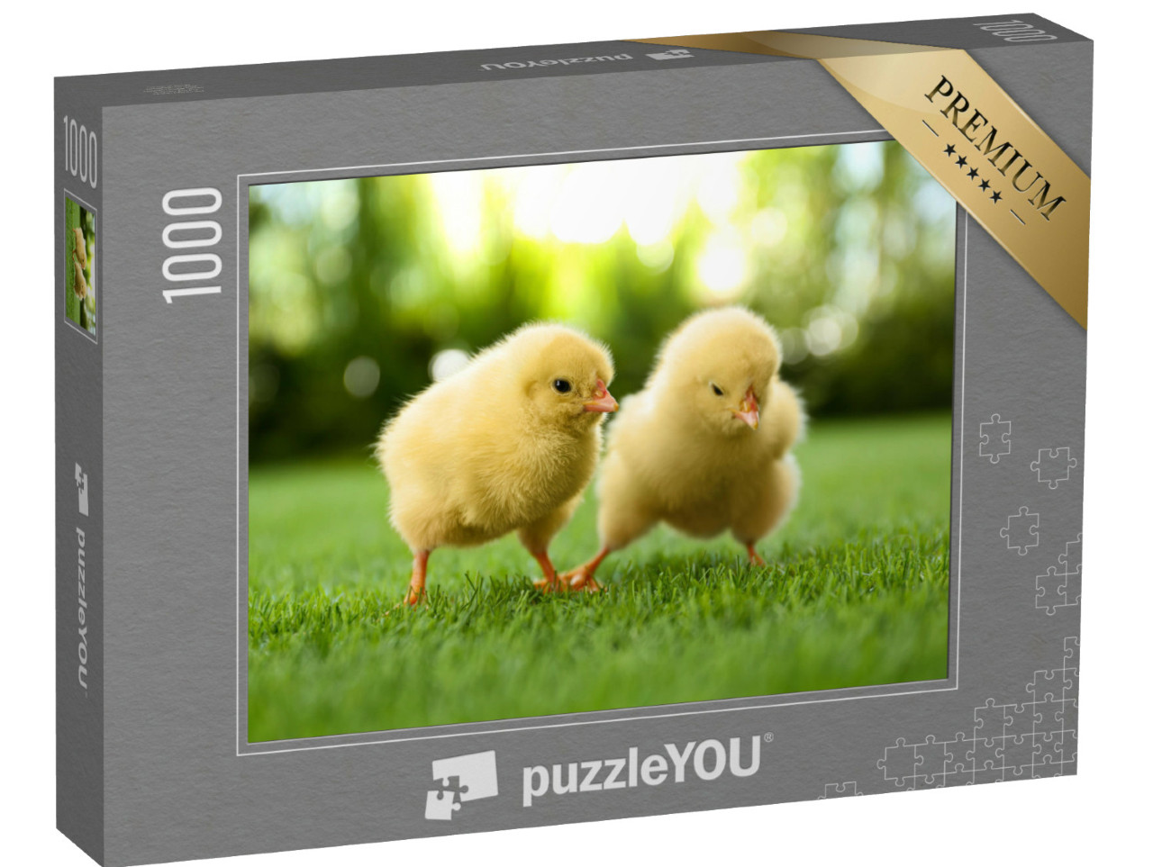 Puzzel 1000 stukjes „Twee pluizige kuikens op een groene weide“