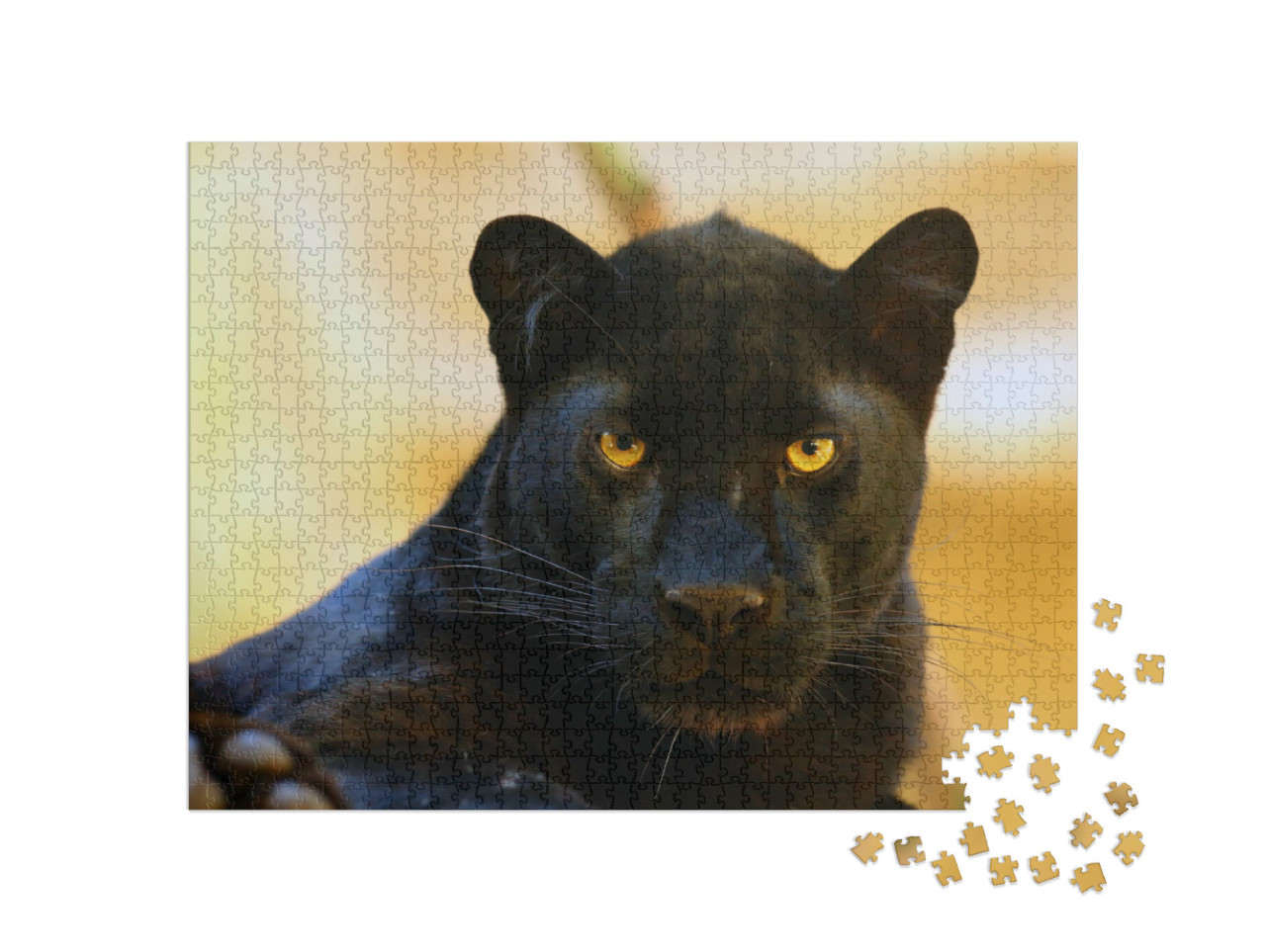 Puzzel 1000 stukjes „Oog in oog met een zwarte panter“