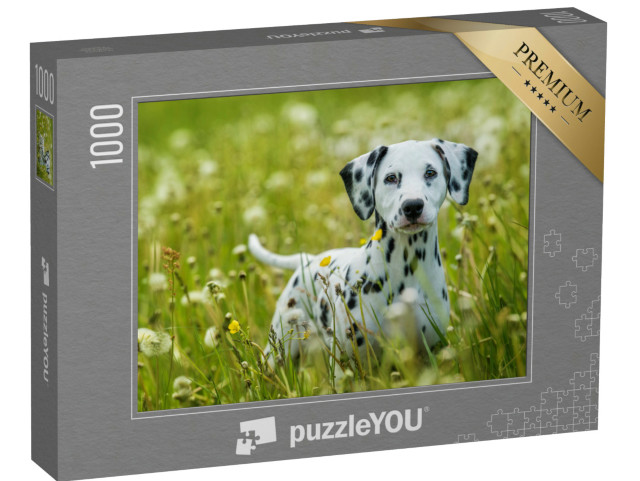 Puzzel 1000 stukjes „Dalmatiër puppy op een paardenbloem weide“