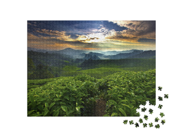 Puzzel 1000 stukjes „De zon schijnt over de theetuin“
