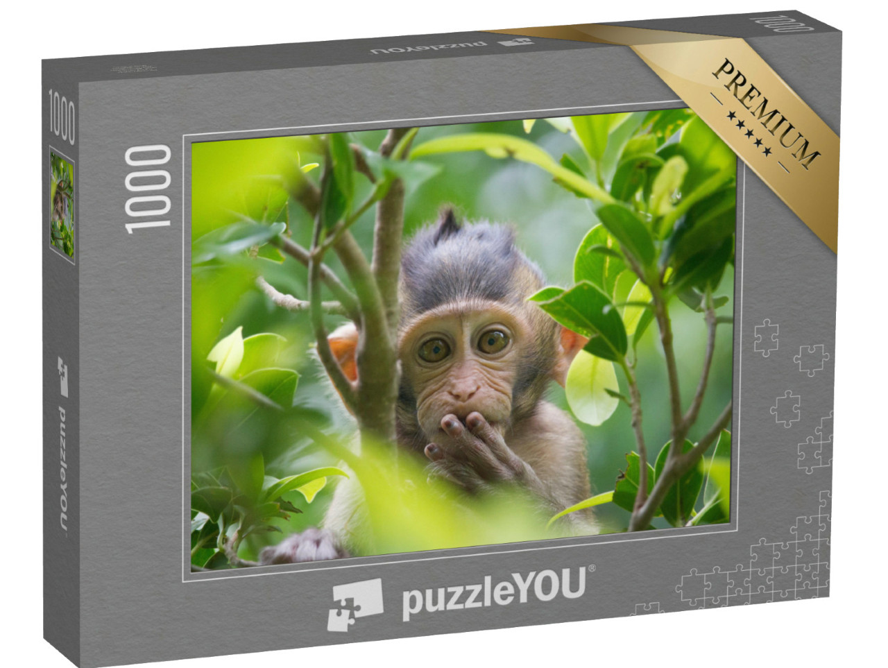 Puzzel 1000 stukjes „Een aap in een bos in Thailand“
