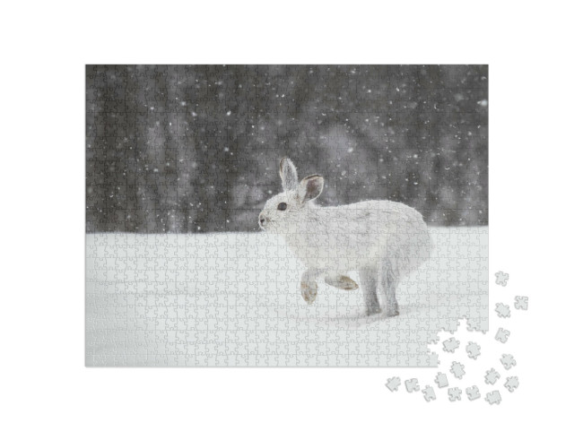 Puzzel 1000 stukjes „Witte berghaas in de Canadese winter“