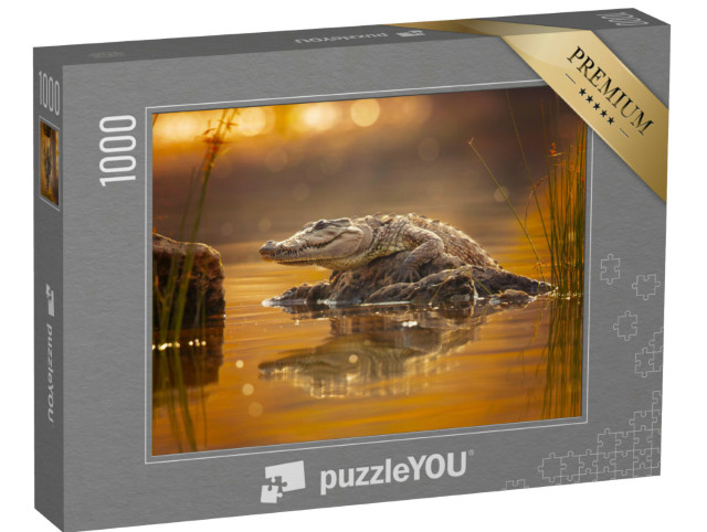 Puzzel 1000 stukjes „De moeraskrokodil, breedsnuitkrokodil of overvaller“