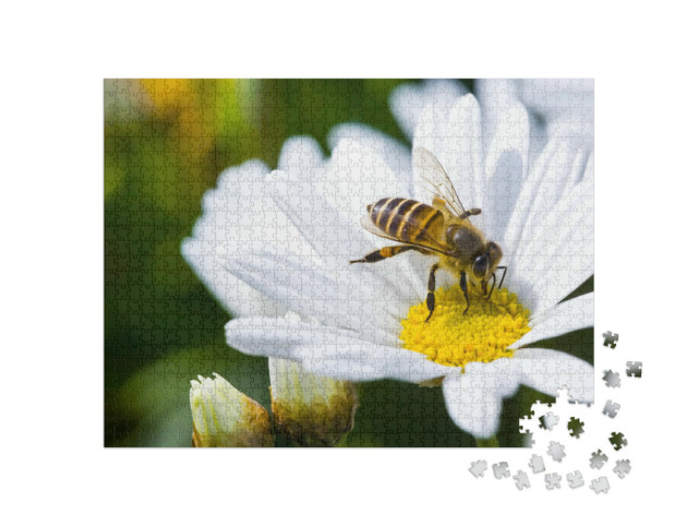 Puzzel 1000 stukjes „Madeliefjes en bijen in de lente“