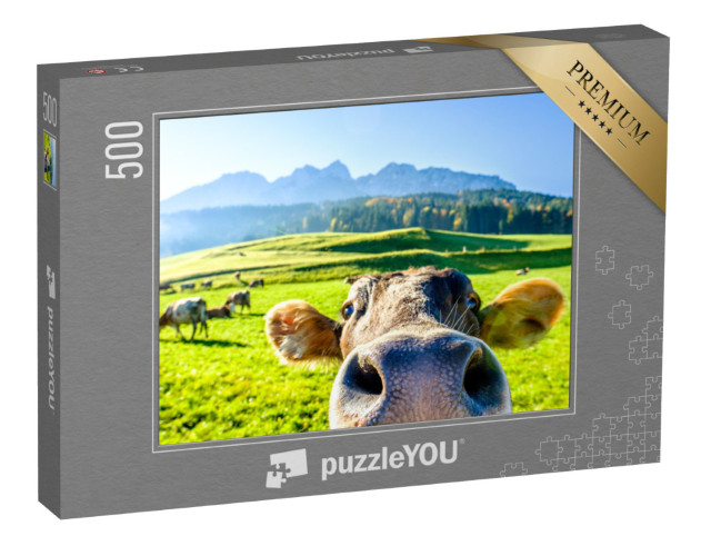 Puzzel 500 stukjes „Nieuwsgierige koe“