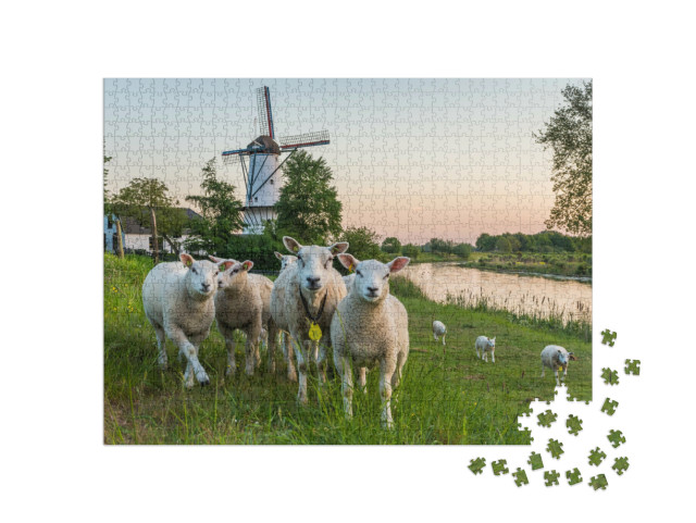 Puzzel 1000 stukjes „Landschap met de traditionele windmolen "De Vlinder" en een kudde schapen in Deil“