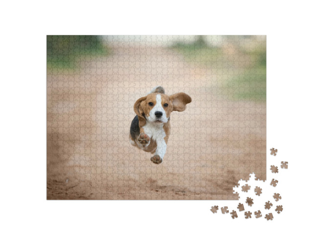 Puzzel 1000 stukjes „Een beagle puppy in de achtertuin“