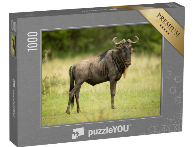 Puzzel 1000 stukjes „Oplettende blauwe gnoe“
