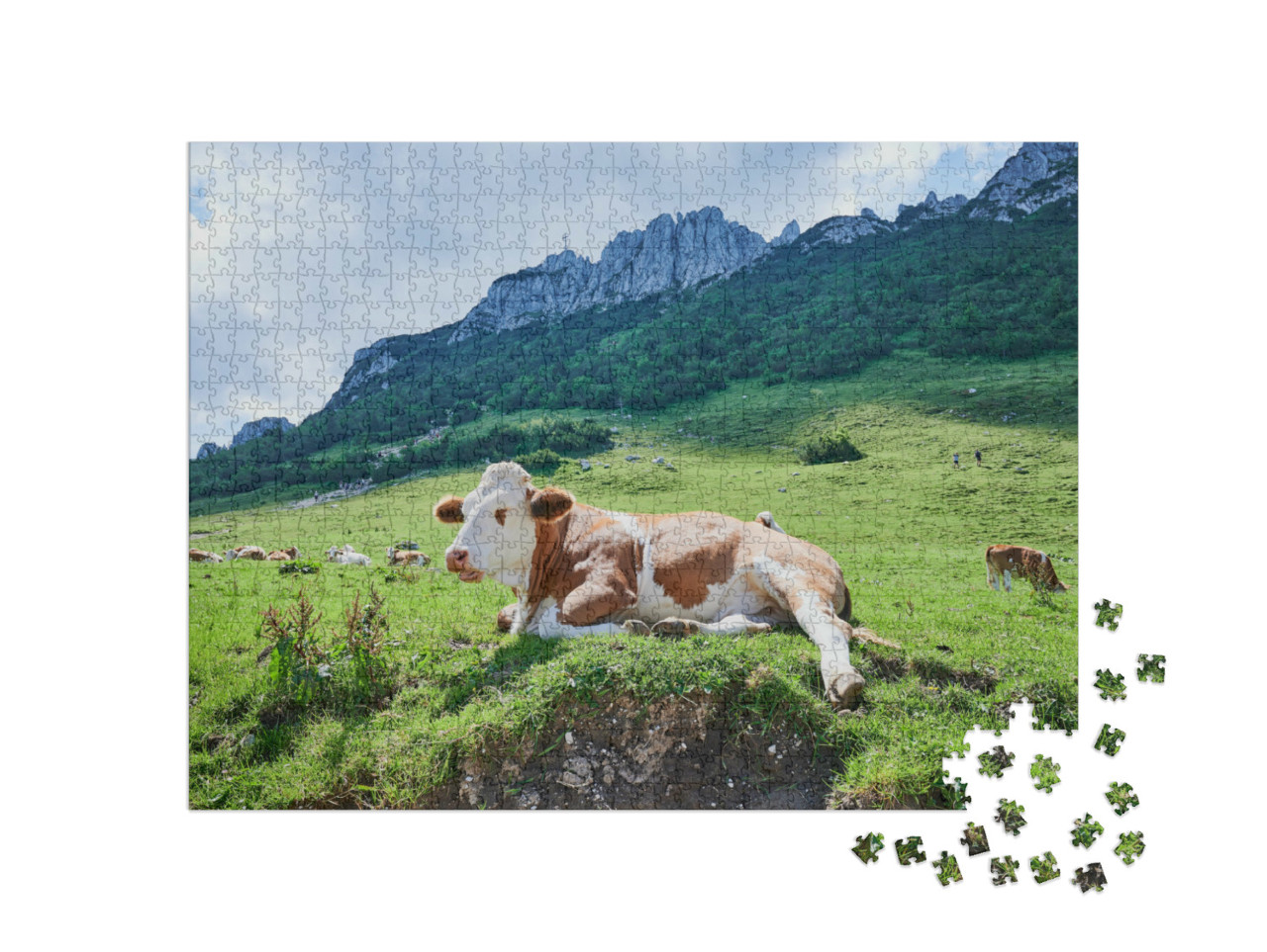Puzzel 1000 stukjes „Koe voor de Kampenwand, Beieren, Duitsland“