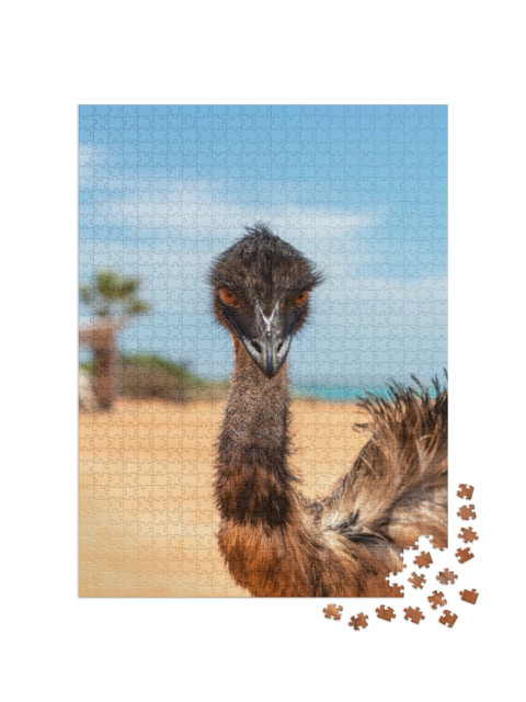 Puzzel 1000 stukjes „Emoe familie in de bush bij Shark Bay, Francois Peron National Park“